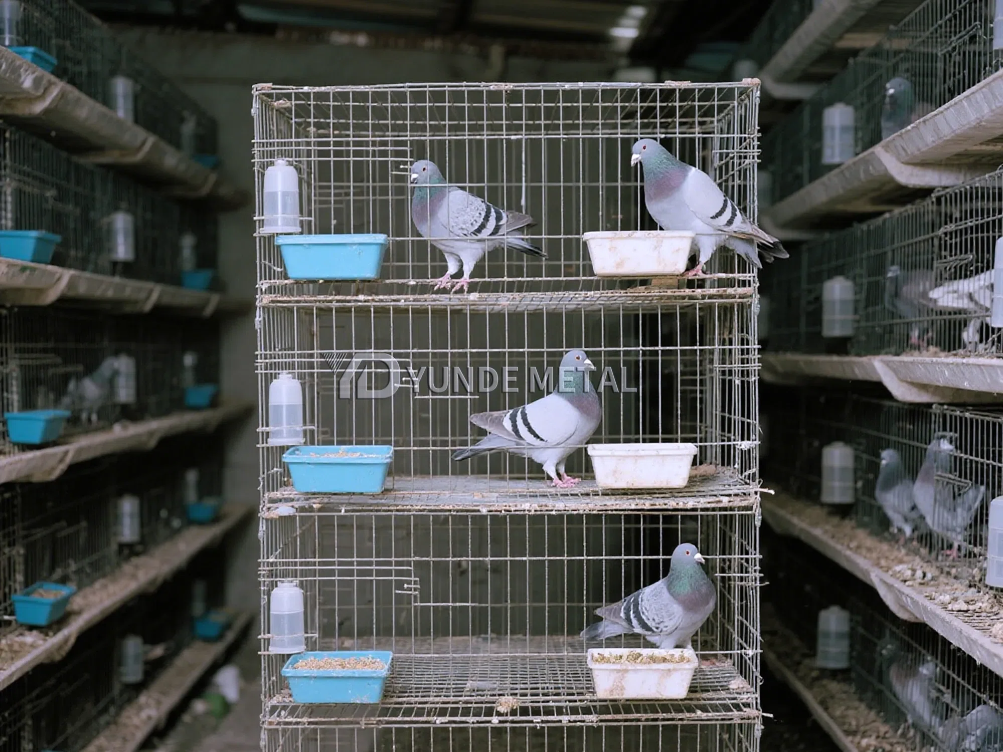 Agriculture & Farming