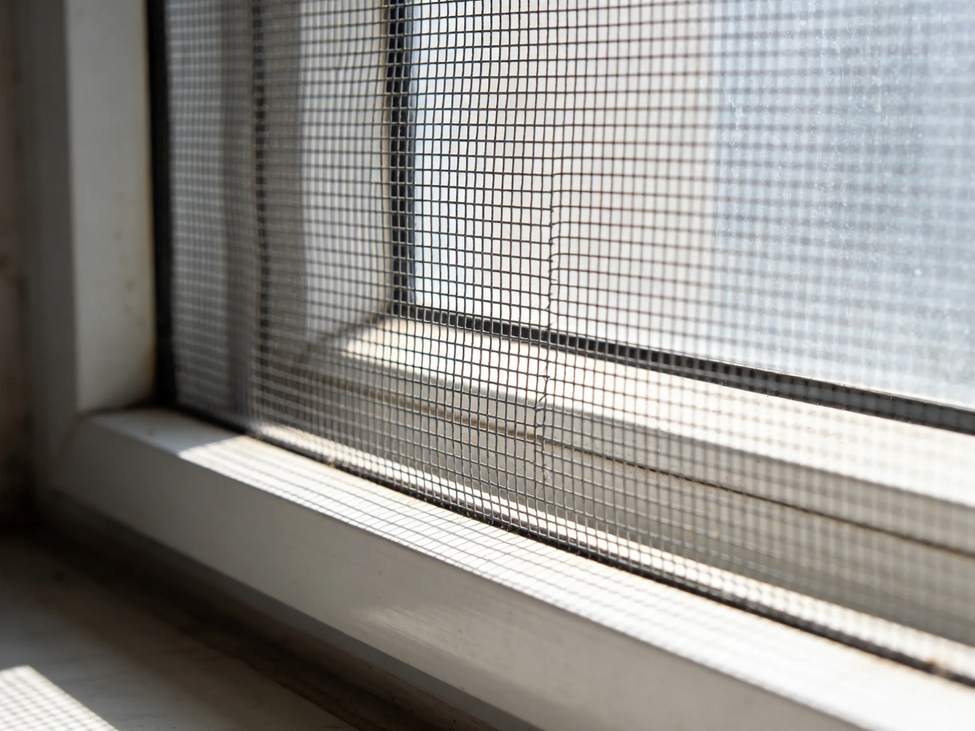 Security & Protection