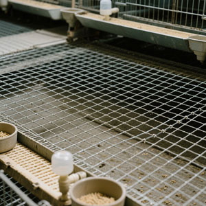 Welded Wire